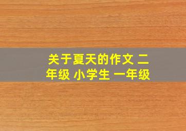 关于夏天的作文 二年级 小学生 一年级